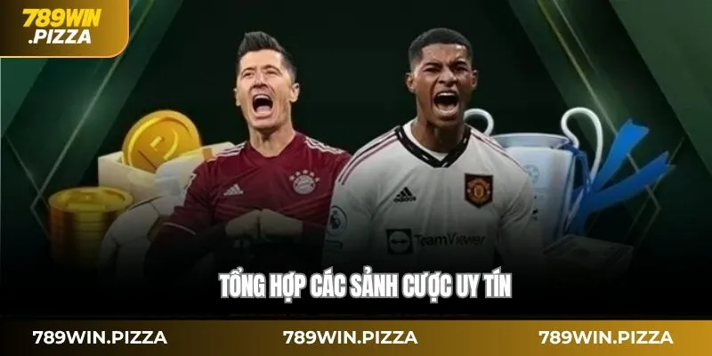 Tổng hợp các sảnh cược uy tín